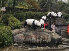 -都江堰中华大熊猫苑