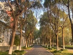 -华东政法大学(松江校区)