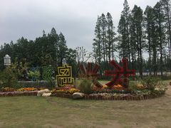 -上海长兴岛郊野公园