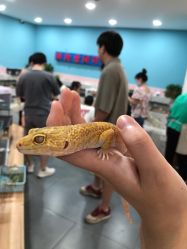 -Moni星球萌宠·小马宝莉·灵蛇·高端高阶全萌宠互动体验俱乐部(红豆国际广场店)
