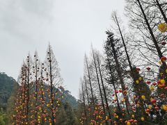 -缙云山景区
