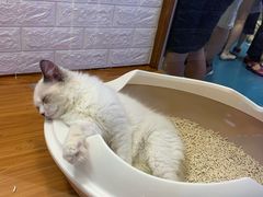 -龟与熊猫宠物公园(南坪店)