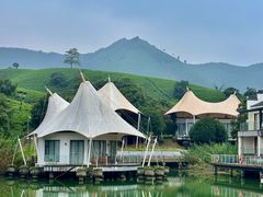 -帐篷客·溪龙茶谷度假酒店