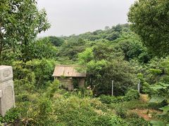 -雨花胜境