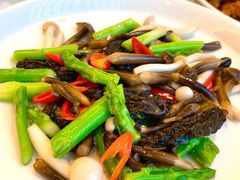 羊肚菌时令炒素-上海小南国(世博源店)