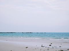-贝壳沙滩