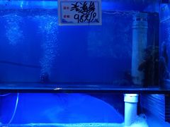 -俏东方·海味水饺·青岛菜(崂山店)