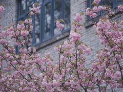 -颐和路民国时期公馆-风貌区