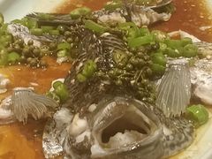 -上海雅居乐万豪侯爵酒店
