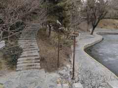 -团结湖公园