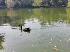 -深圳野生动物园