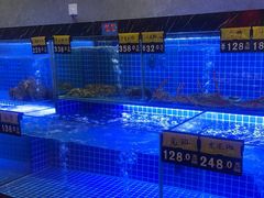 -厝包四点金·潮宴(太古仓店)