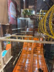 -卡通尼·Safari非洲探索乐园·生日会(金桥国际商业广场店)