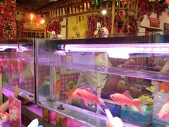 -粗粮人家·东北菜(洋桥店)