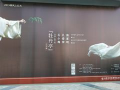 -北京大学百年讲堂