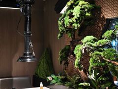 -万达广场(南宁青秀店)