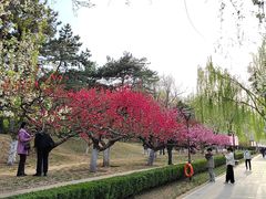 -元大都城垣遗址公园