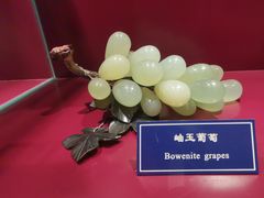 -中国地质大学逸夫博物馆