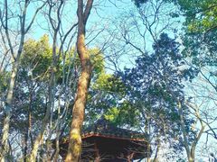 -中国茶叶博物馆(双峰馆区)