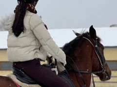 -北京群众马术培训基地