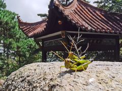 -九华山风景区