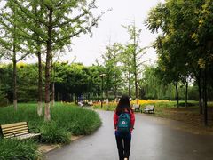 -永定河休闲森林公园