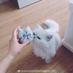 -明洞造型精品烫染
