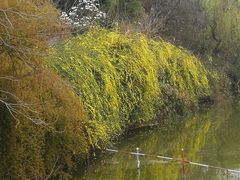 -三圣花乡旅游区