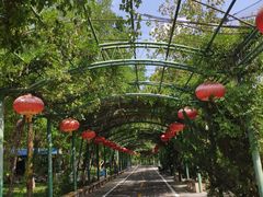 -石家庄市动物园