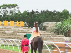-迪茵湖田家舍生态农场