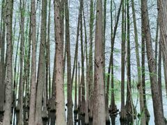 -东湖落雁景区