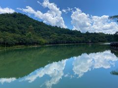 -广州白江湖森林公园