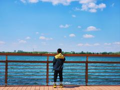-丁香湖公园