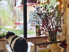 -海边的猫和咖啡馆