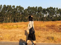-厦门国家会计学院