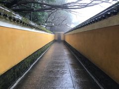 -普陀山慧济禅寺