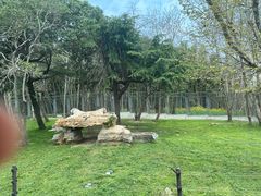 -上海野生动物园