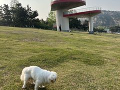 -在海一方公园