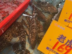 -79号渔船海鲜饭店(宝安店)
