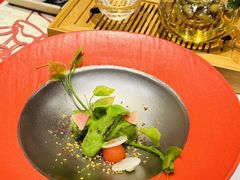 -叶叶菩提(太原别墅店)