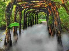 -云龙山