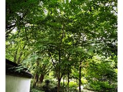 -上海佘山国家森林公园天马山园