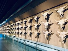 -大庆市博物馆