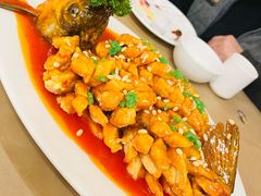 松鼠鱼-金牌餐厅·天津菜·八珍豆腐·老爆三(瓷房子店)