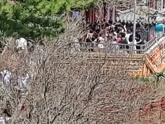 -老庞家水馅包子馆