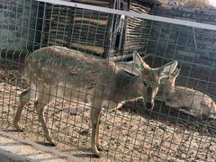 -清风小镇闯关东影视基地