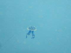-常州海昌海洋探索馆