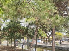 -北陵公园
