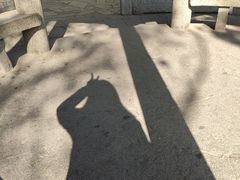 -玲珑塔公园