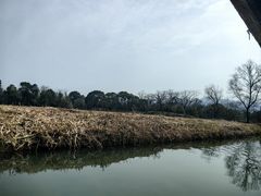 -西溪国家湿地公园